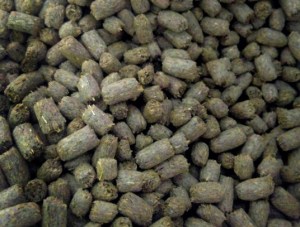 Nuggets help stop selective feeding