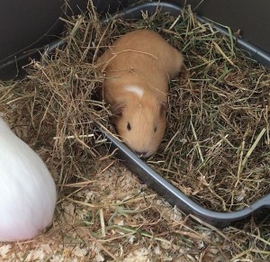 Is that comfy Britney?