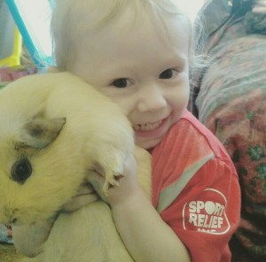 Squidgypigs - No Ned's were harmed in the making of this cuddle, he's well supported underneath by an adult. Squidgypigs - No Ned's were harmed in the making of this cuddle, he's well supported underneath by an adult.