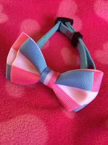 Squidgypigs - Crafted4EPets