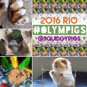 2016 Olympigs
