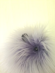 Squidgypigs Fuzziggles Guinea Pig Plushy Review Squidgypigs Fuzziggles Guinea Pig Plushy Review