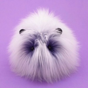 Squidgypigs Fuzziggles Review - pic from Fuzziggles Squidgypigs Fuzziggles Review - pic from Fuzziggles