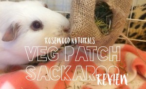 Squidgypigs - Veg Patch Sackaroo Review Squidgypigs - Veg Patch Sackaroo Review