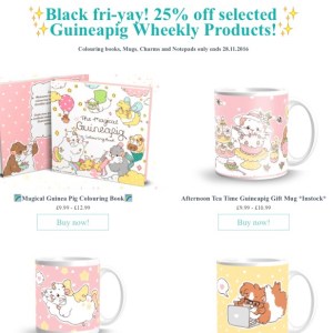 Squidgypigs - Guinea Pig Wheekly Black Friday Savings Squidgypigs - Guinea Pig Wheekly Black Friday Savings