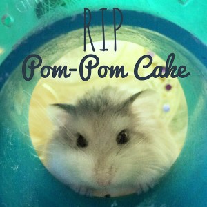 Squidgypigs - RIP Pom-Pom Cake