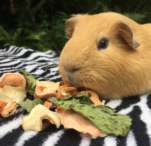 Lazy like Sunday Morning...