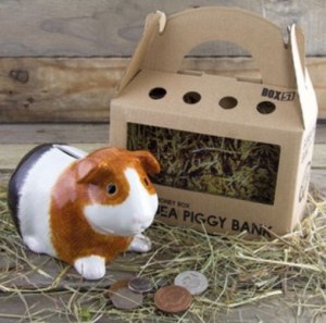 Squidgypigs - Guinea Piggy Bank Review - Pic from. Paladone 