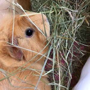 Zelah getting the best bits 