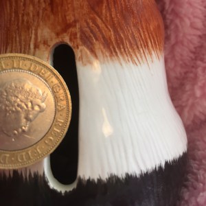 Squidgypigs - Paladone Guinea Piggy Bank Review