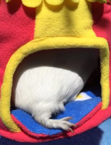 Plenty of leg room...