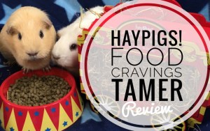 Haypigs! Food Craving Tamer Review Haypigs! Food Craving Tamer Review