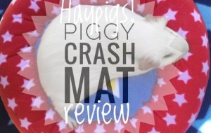 Piggy Crash Mat Piggy Crash Mat