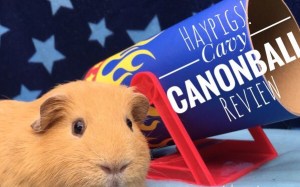 Cavy Cannonball Cavy Cannonball