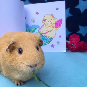 Slincypig is a big fan