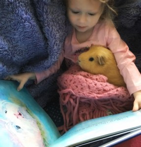 Perfect for storytime.