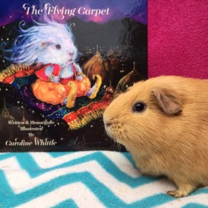 The Flying Carpet by Caroline Whittle