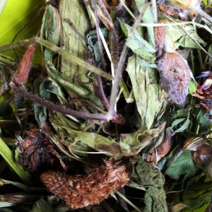 Binky and Wheeks Meadow Mix review