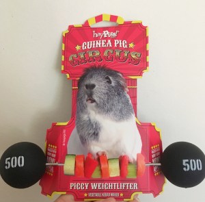 I love the packaging!