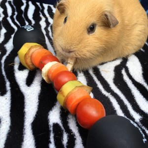 He's so big and strong... hmm