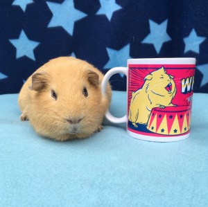 Slincypig wanted in on the review...