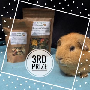 #squidgypigaway1 3rd prize #squidgypigaway1 3rd prize