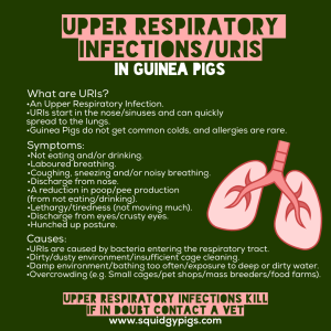 Upper Respiratory Infections