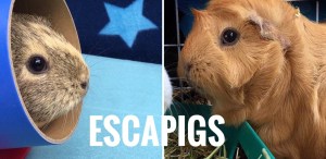 It was an interesting night...