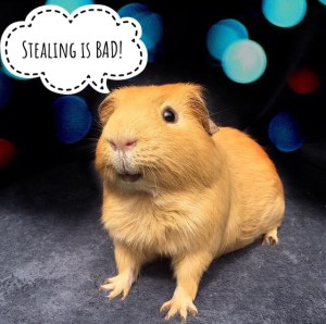 Copyright breach is theft.