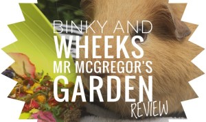 Binky and Wheeks Mr Mcgregor's Garden Binky and Wheeks Mr Mcgregor's Garden