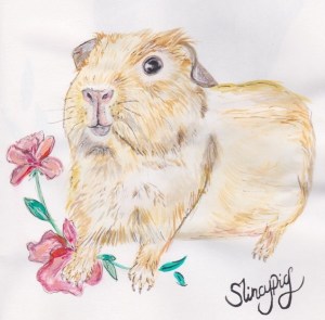 Slincypig by Blossom and Ivy. Slincypig by Blossom and Ivy.