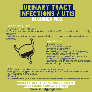 Urinary Tract Infection 