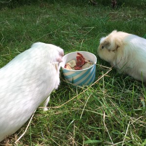 A versatile mix. A versatile mix.