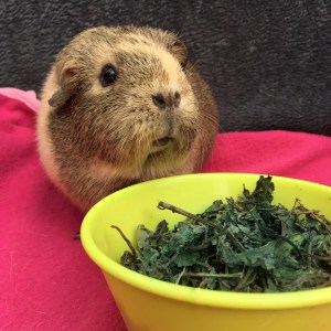 It's ok Doughnut, we won't take it away. It's ok Doughnut, we won't take it away.