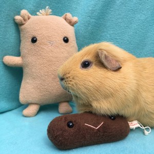 Slincypig, Flat Slincypig and poo!