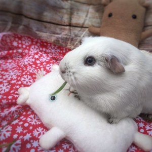 Beautiful blue eyes!