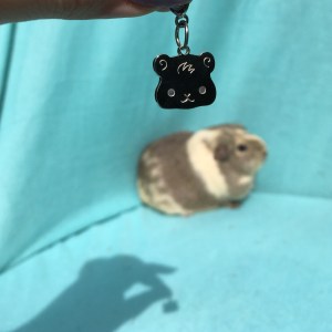 Flat Bonnie Charm Review 