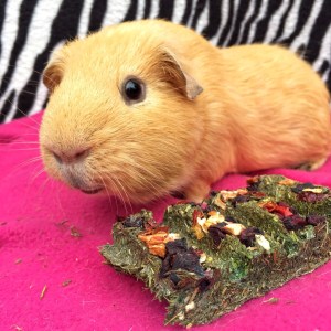 It's ok Slincypig you don't have to share.