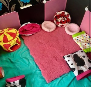 clean cage... probably not for long... clean cage... probably not for long...