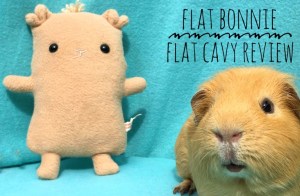 Flat Cavy Review