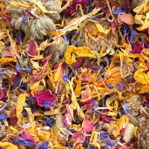 Beautiful: Nature's Own Dried Flowers Review