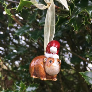 Monsoon Guinea Pig Christmas Decoration Review