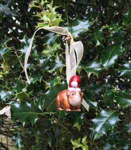 Christmas Cavy