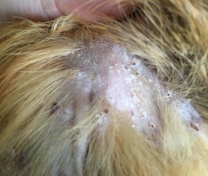 Morag has had a hard time.