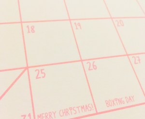 The Magical Guineapig Calendar Review The Magical Guineapig Calendar Review