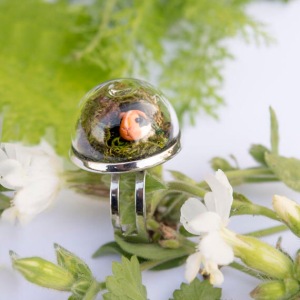 Guinea Pig Dome Ring from Maxi Charming Pet Guinea Pig Dome Ring from Maxi Charming Pet