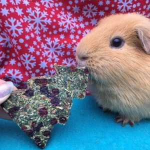 Rosewood Naturals Christmas Stocking Christmas Tree