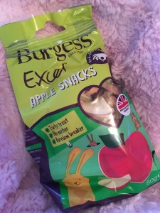 Burgess Apple Snacks Review