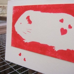 Guinea Pig Valentines Card