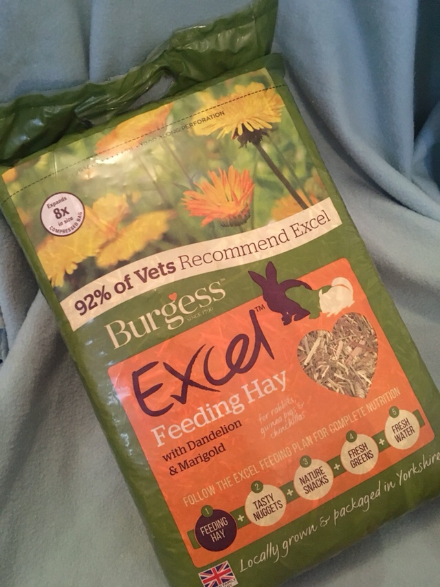 Burgess Feeding Hay Guinea Pig review 